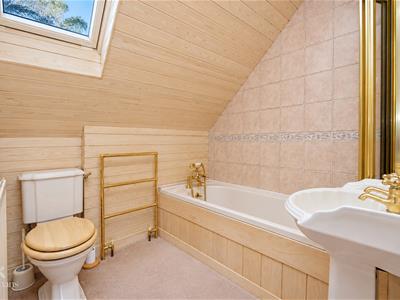 Picture 14